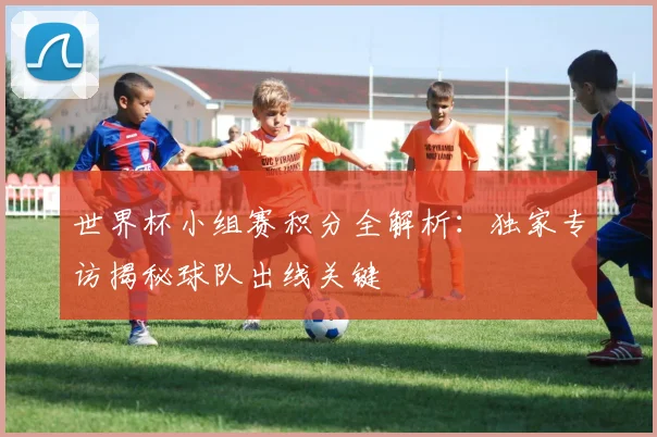 世界杯小组赛积分全解析：独家专访揭秘球队出线关键