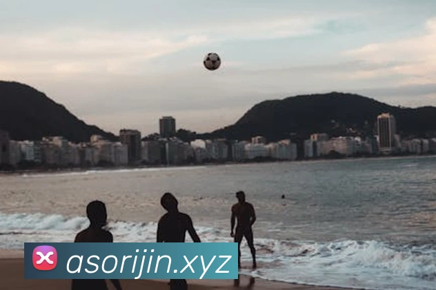 奖项证书